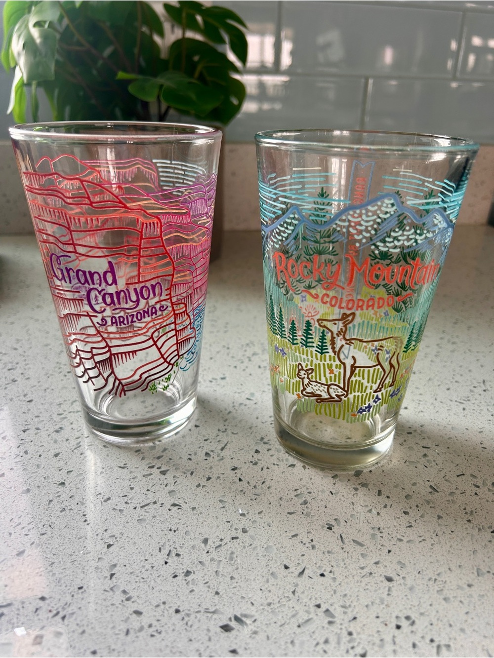 Rocky Mountain & Grand Canyon Illustrated Glasses - Multicolor Travel Set